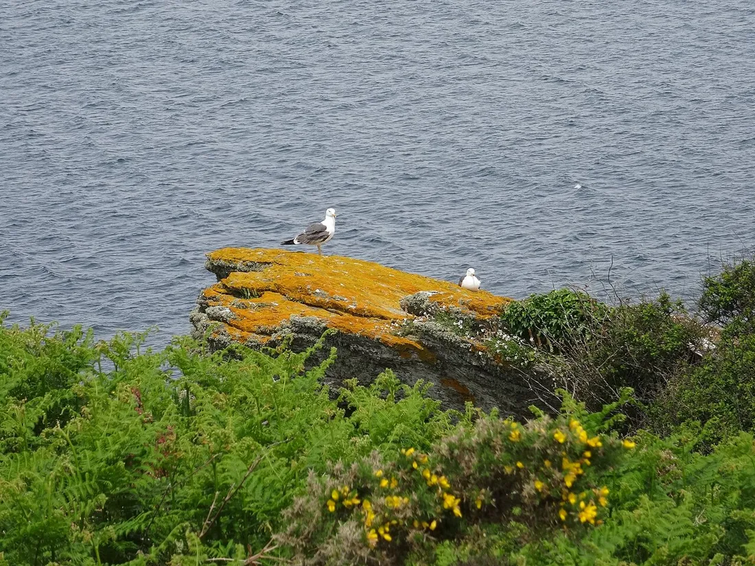 Groix, location Airbnb et conciergerie