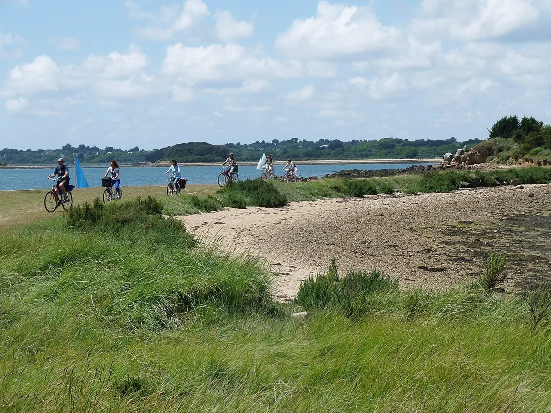 Île-d'Arz, location Airbnb et conciergerie