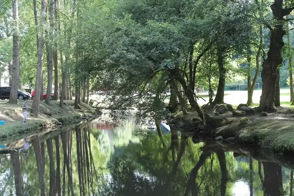 Plaine-Haute, location Airbnb et conciergerie