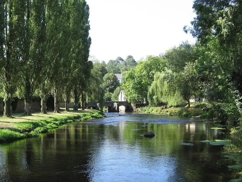 Pont-Scorff, location Airbnb et conciergerie